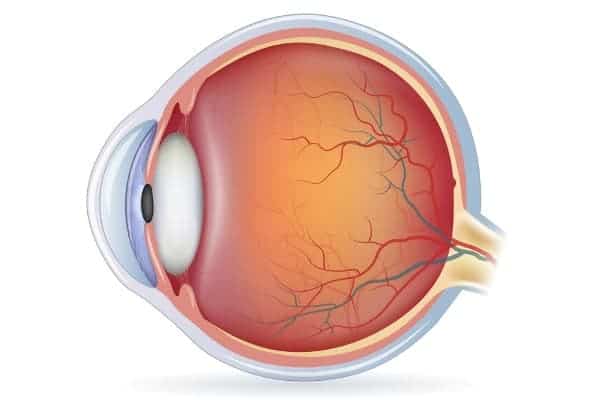 anatomie oeil troubles vision ophtalmo paris specialiste chirurgie refractive chirurgie paris docteur romain nicolau